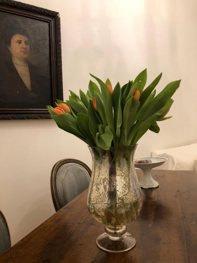 Apartamento Visione Via Sant'andrea Delle Fratte, 36